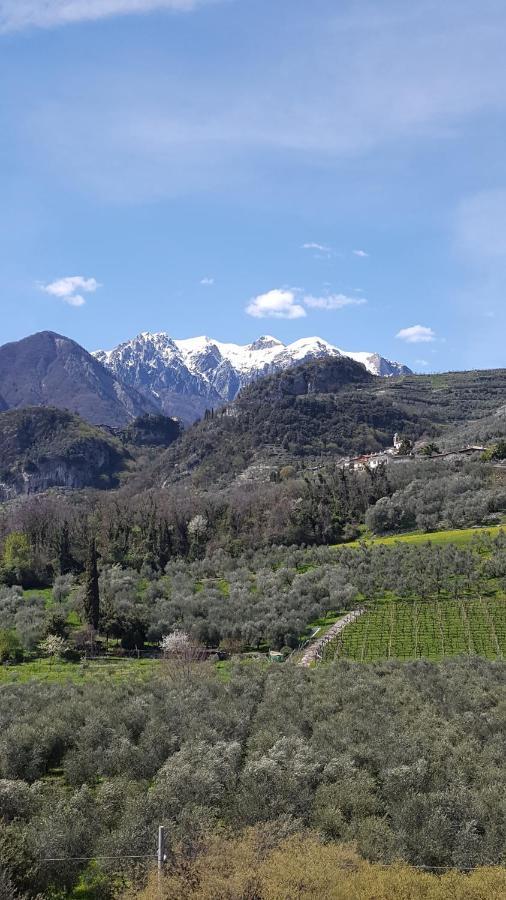 La Berlera - Riva Del Garda Ξενοδοχείο Εξωτερικό φωτογραφία